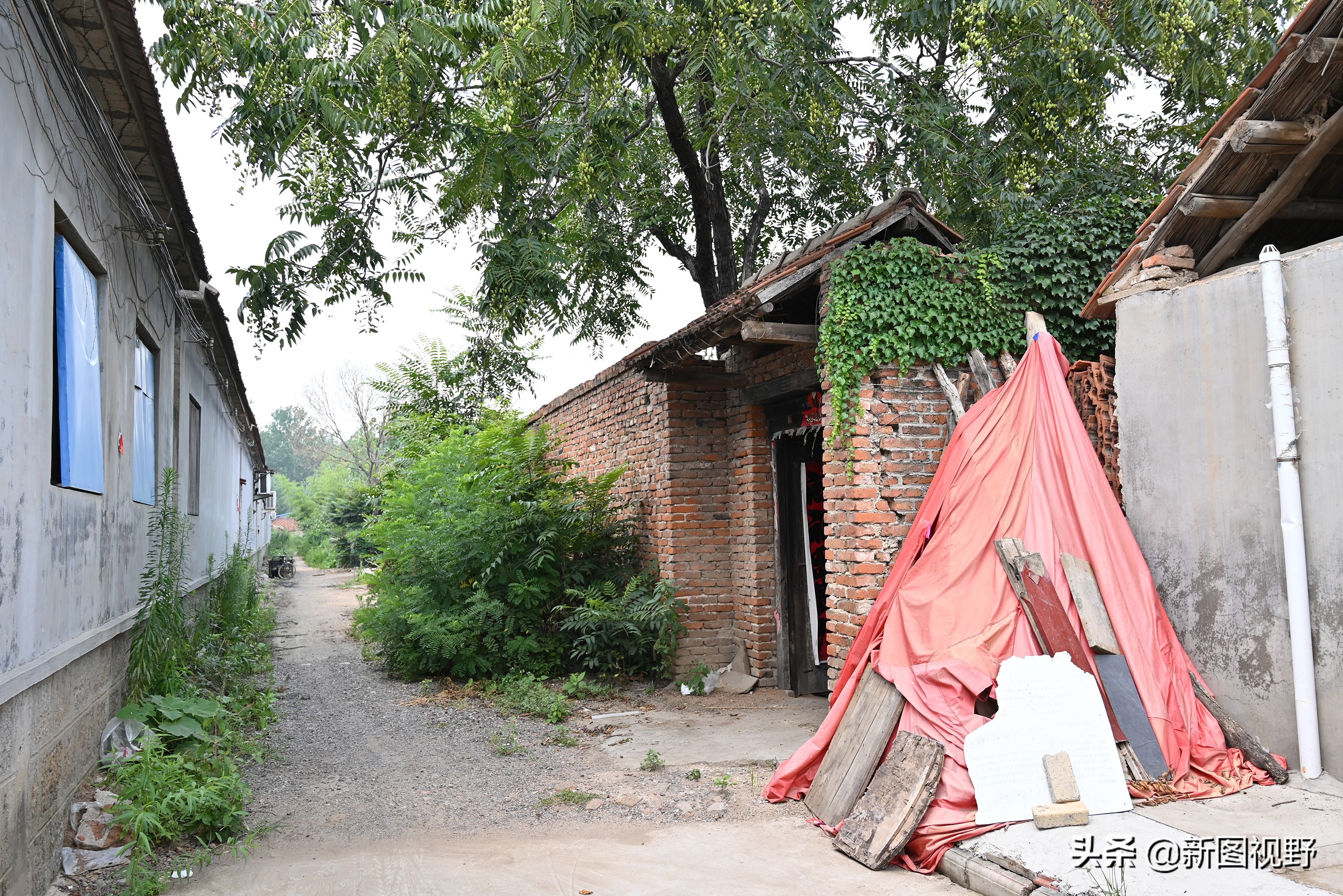 100岁爷爷一日三餐,100岁的爷爷长寿秘诀