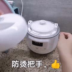 高端健康养生电锅,电炖锅养生