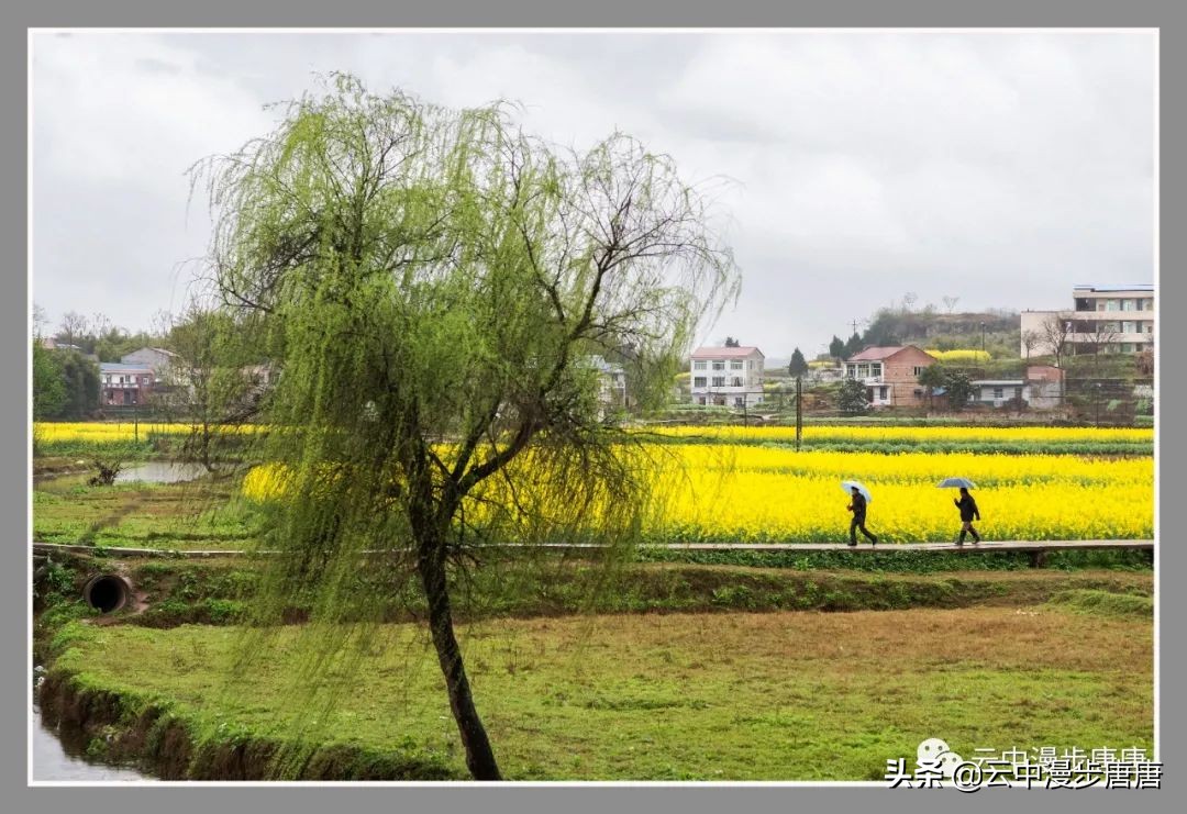 岳池坪滩风景区,行走的风景岳池