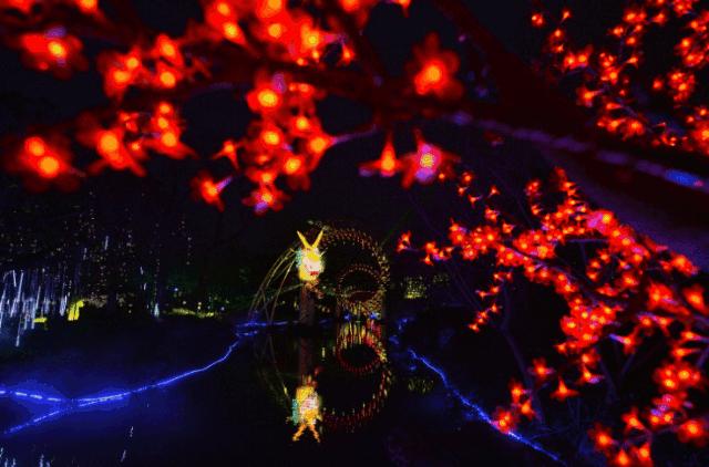 世警会来到成都吗,世警会成都推介