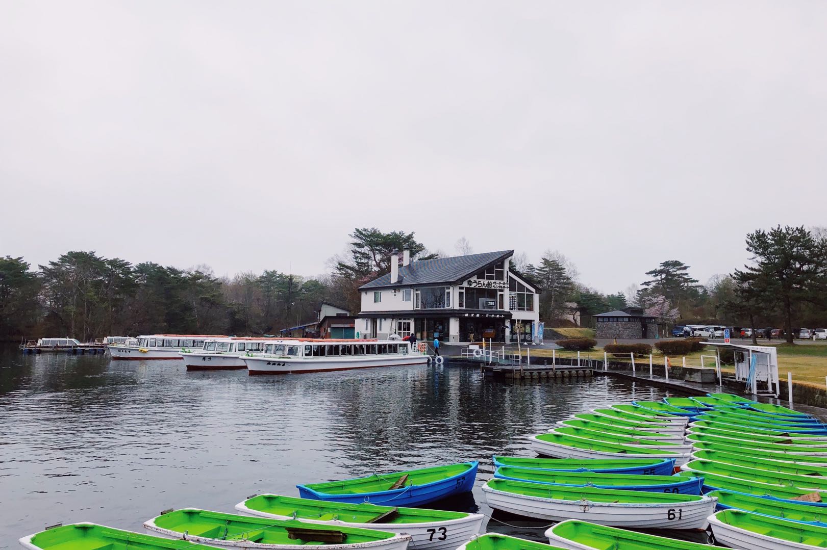 和老人小孩一起旅游,八天七晚豪华游轮旅游