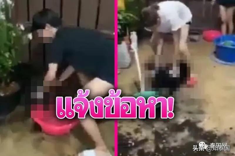 “变性人打狗”泰国热搜？比灾难更可怕的是灾难中现形的人心险恶