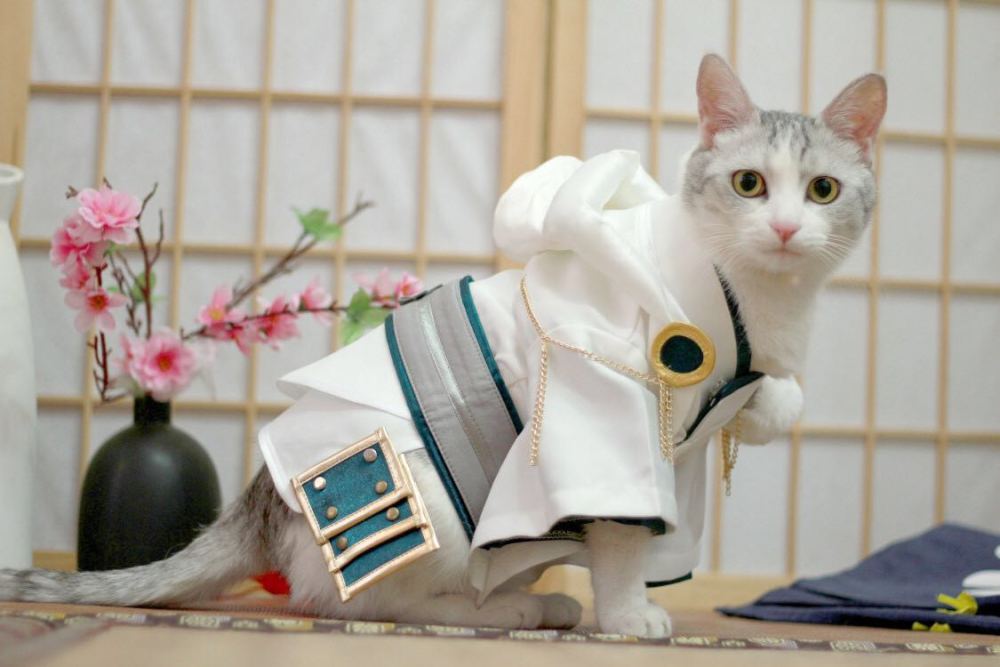 wcg世界cos大赛,cosplay峰会总决赛