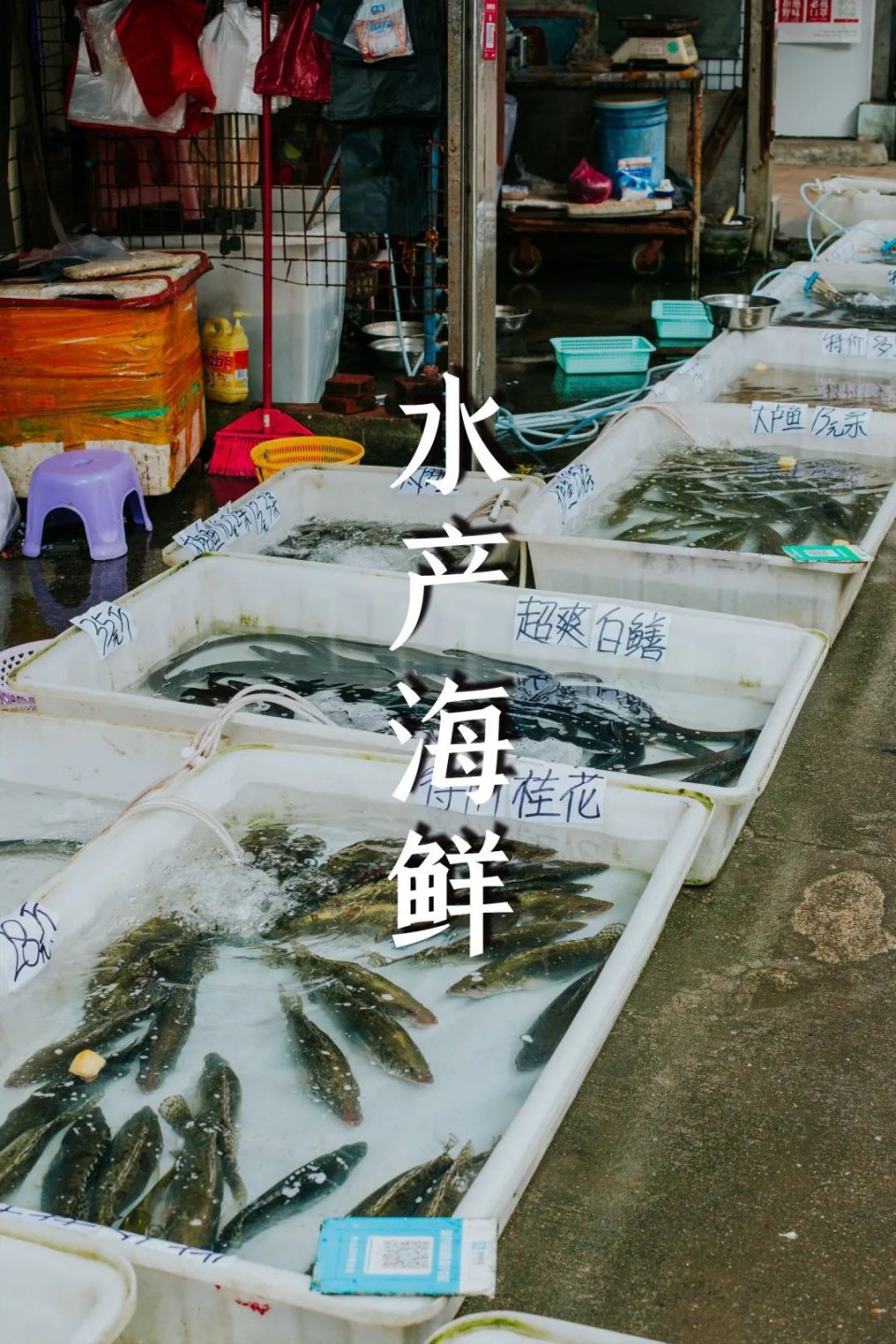 美团外卖买菜送到家吗,美团外卖1000份80元