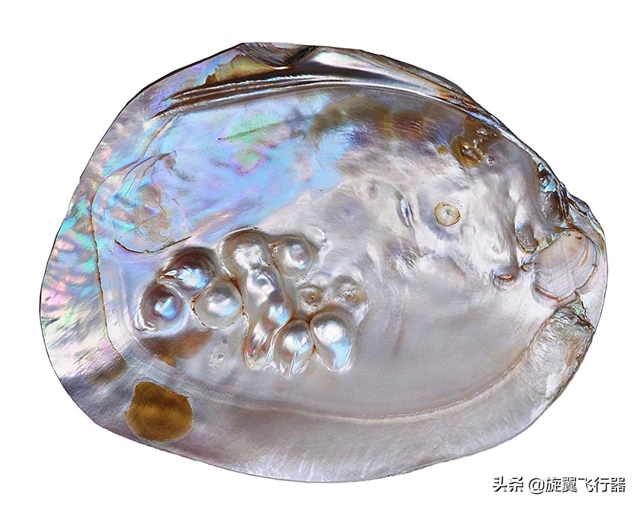 乐高可以拼什么枪可发射拼装教程,用乐高搭建又大又帅气的战甲