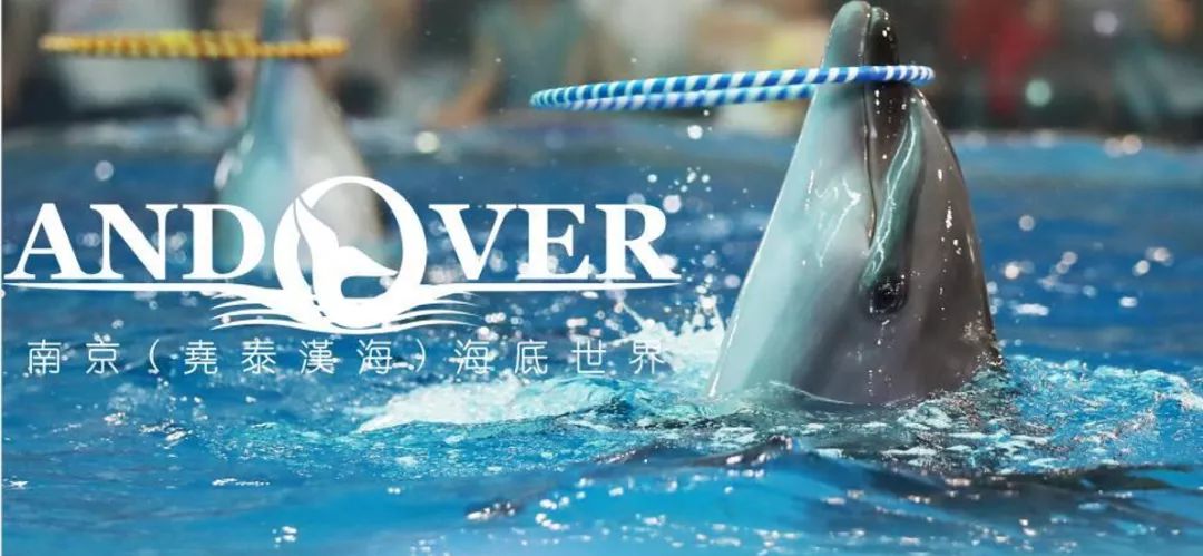 南京海底世界年卡可以玩哪些地方,南京海底世界免费游玩