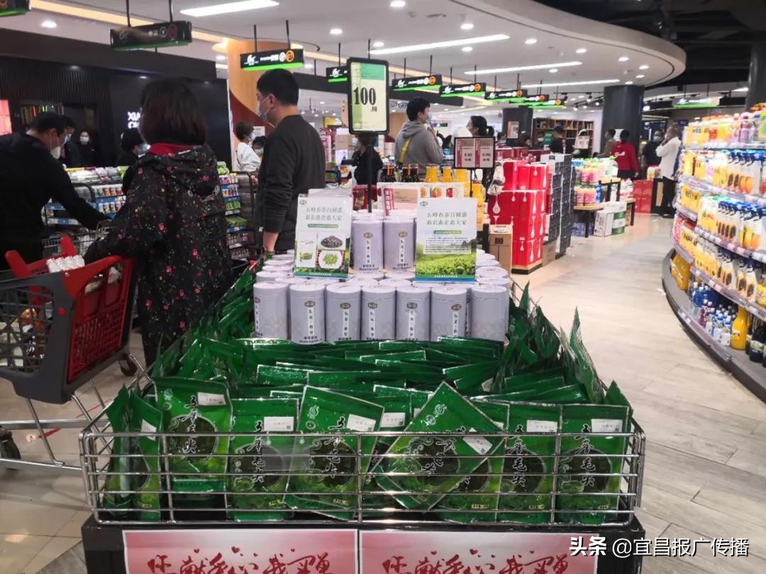 助茶农渡难关，宜昌春茶“百圆惠”上市