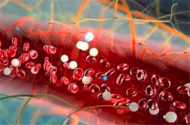 非洲一只黑猩猩,是怎么把艾滋病传给非洲黑人,再传到全世界的?