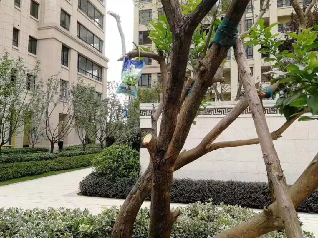 合肥市小区物业费收费标准,合肥各小区物业费价格表