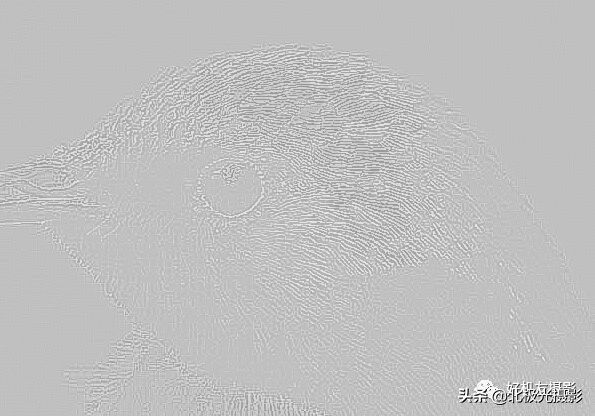 拍的照片没有层次感,拍出的效果没有实物效果