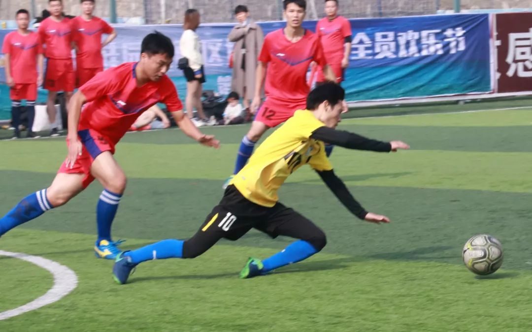 碧桂园最美营销人员名单,碧桂园最大老板在哪