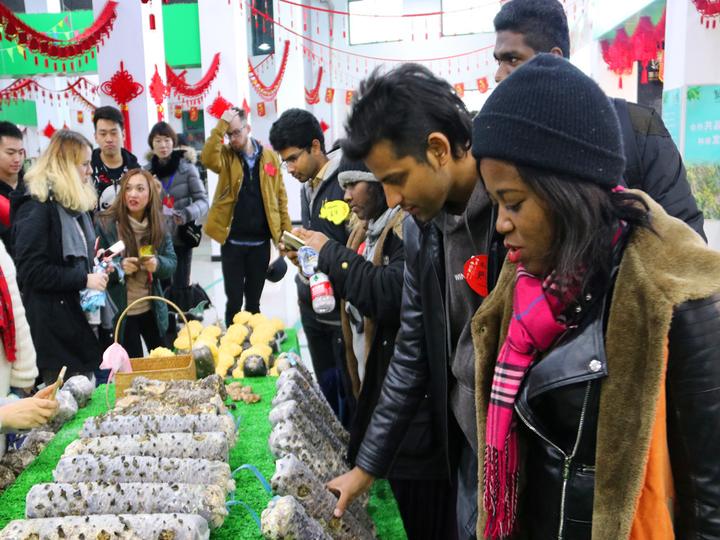 为什么西班牙那么多浙江人,西班牙人歧视亚洲人吗