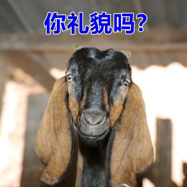 上海造火箭的地方,福建哪个地方造火箭