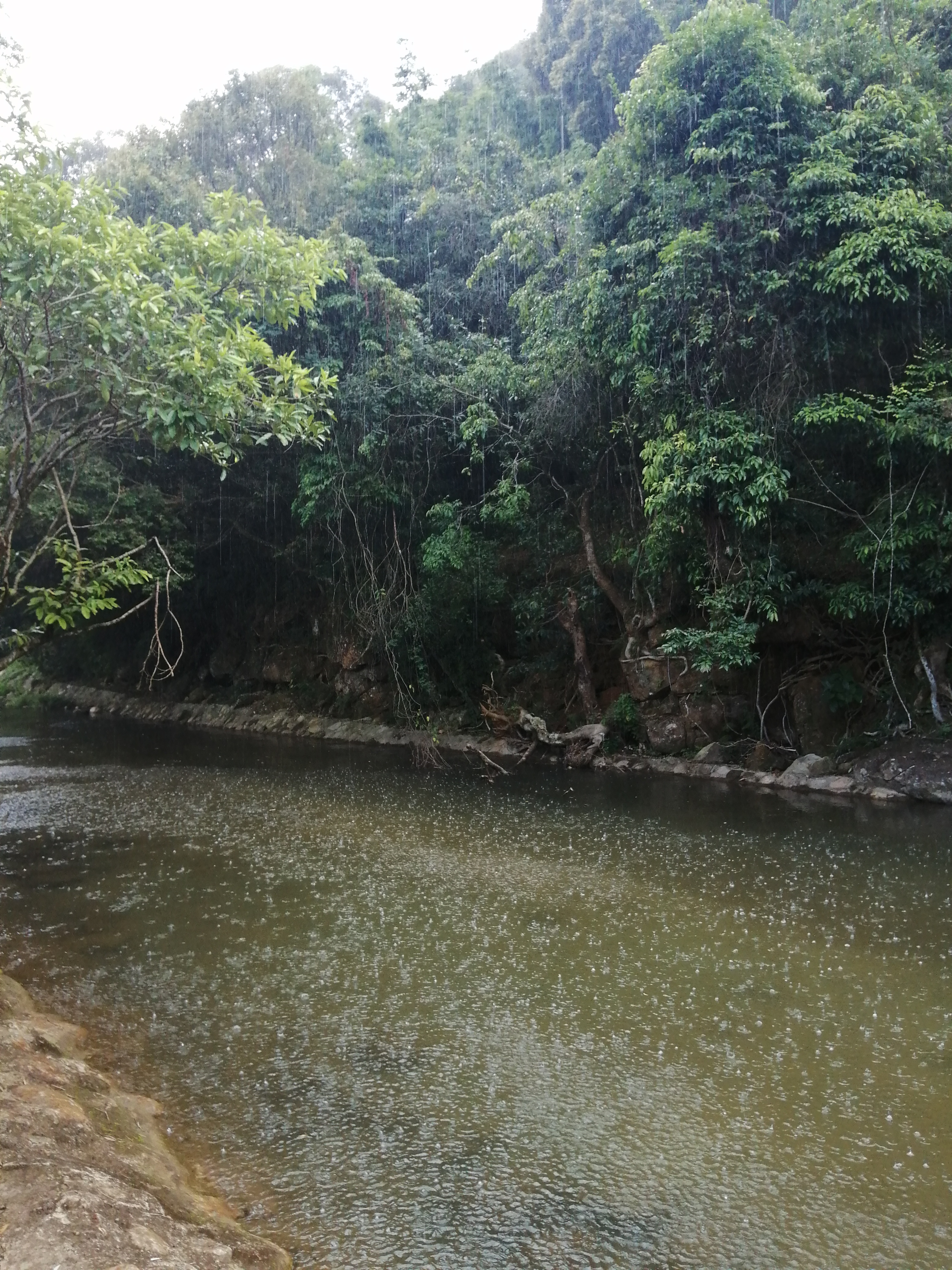 周边旅游景点推荐自驾游罗浮山,罗浮山风景区一日游攻略