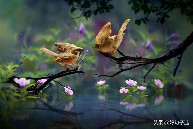 人生感悟英文短句子，句句入骨，看完你会明白很多！