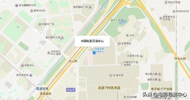 野梨树电影导演,野梨树电影导演简介