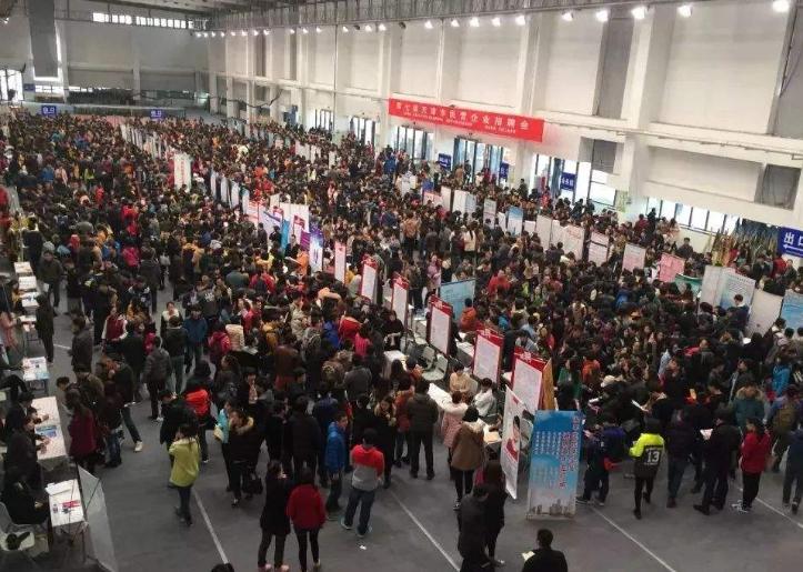 考上“985”的大学生，毕业后好就业，国企事业单位占多数