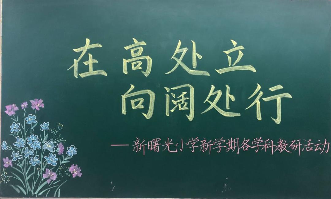 邯郸市曙光小学教学模式,邯郸市新曙光小学2014届