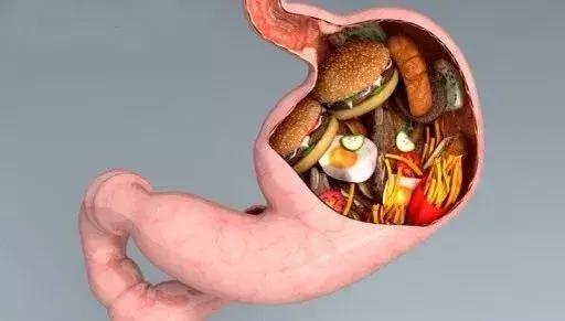 打响健康保卫战,养胃护胃指南视频