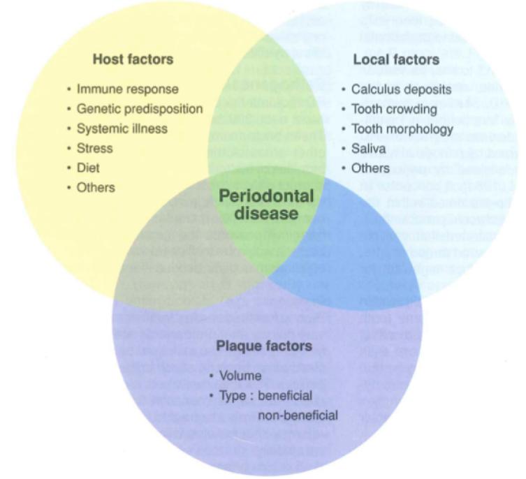 狗狗不爱刷牙有口臭怎么办,两个月的狗狗有口臭怎么办