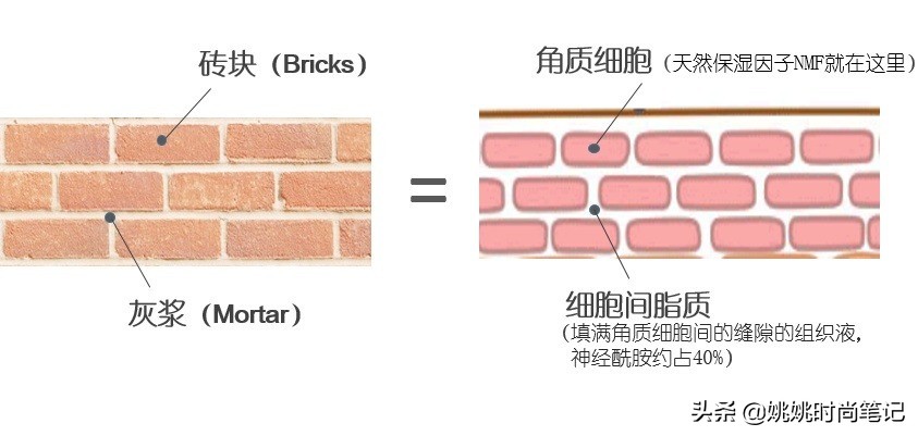 如何维持皮肤的水油平衡,怎么样维持皮肤水油平衡