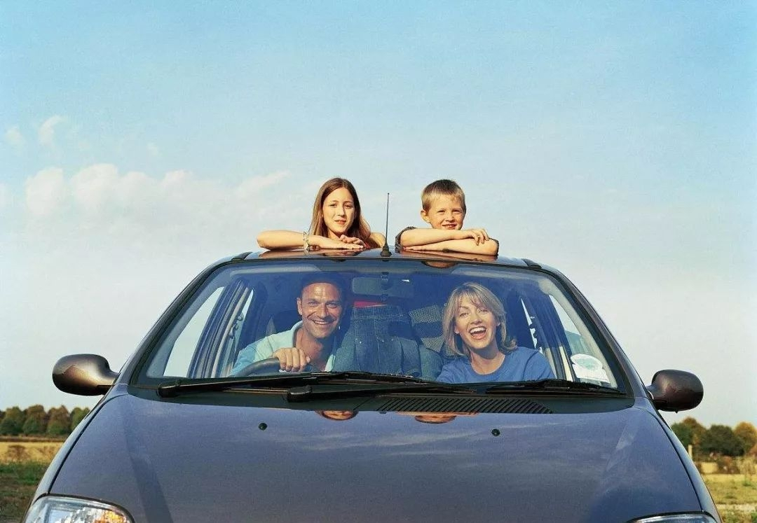 开车无意撞到了小动物该怎么处理,开车行驶撞到动物如何处理