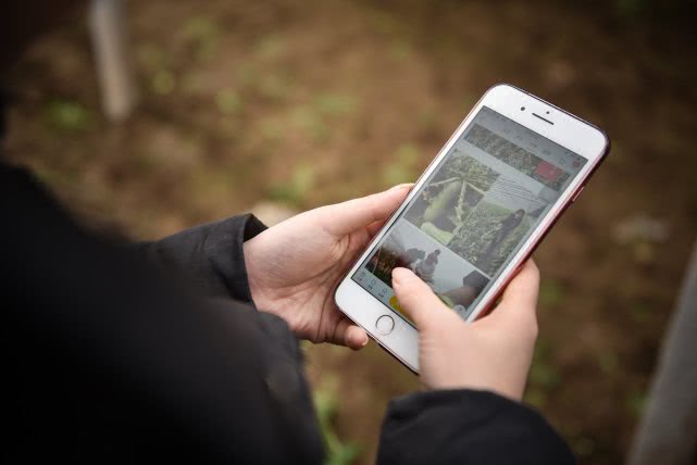 安徽90后萝卜西施,90后豆腐西施月入过万