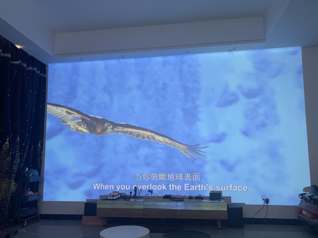 浼樻淳q10q30,浼樻淳q10濡備綍璁剧疆