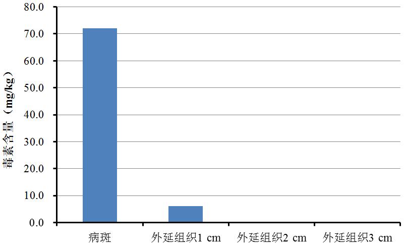 实验室|去除腐烂部分的果蔬还能吃吗?实在舍不得扔怎么办?