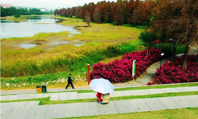 济宁和菏泽哪个有发展前途,菏泽最新规划项目