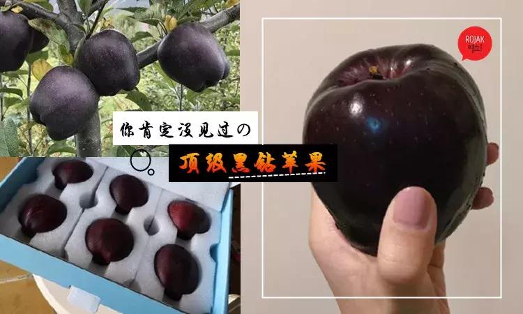 这种黑苹果68元一个，种植效益怎么样？