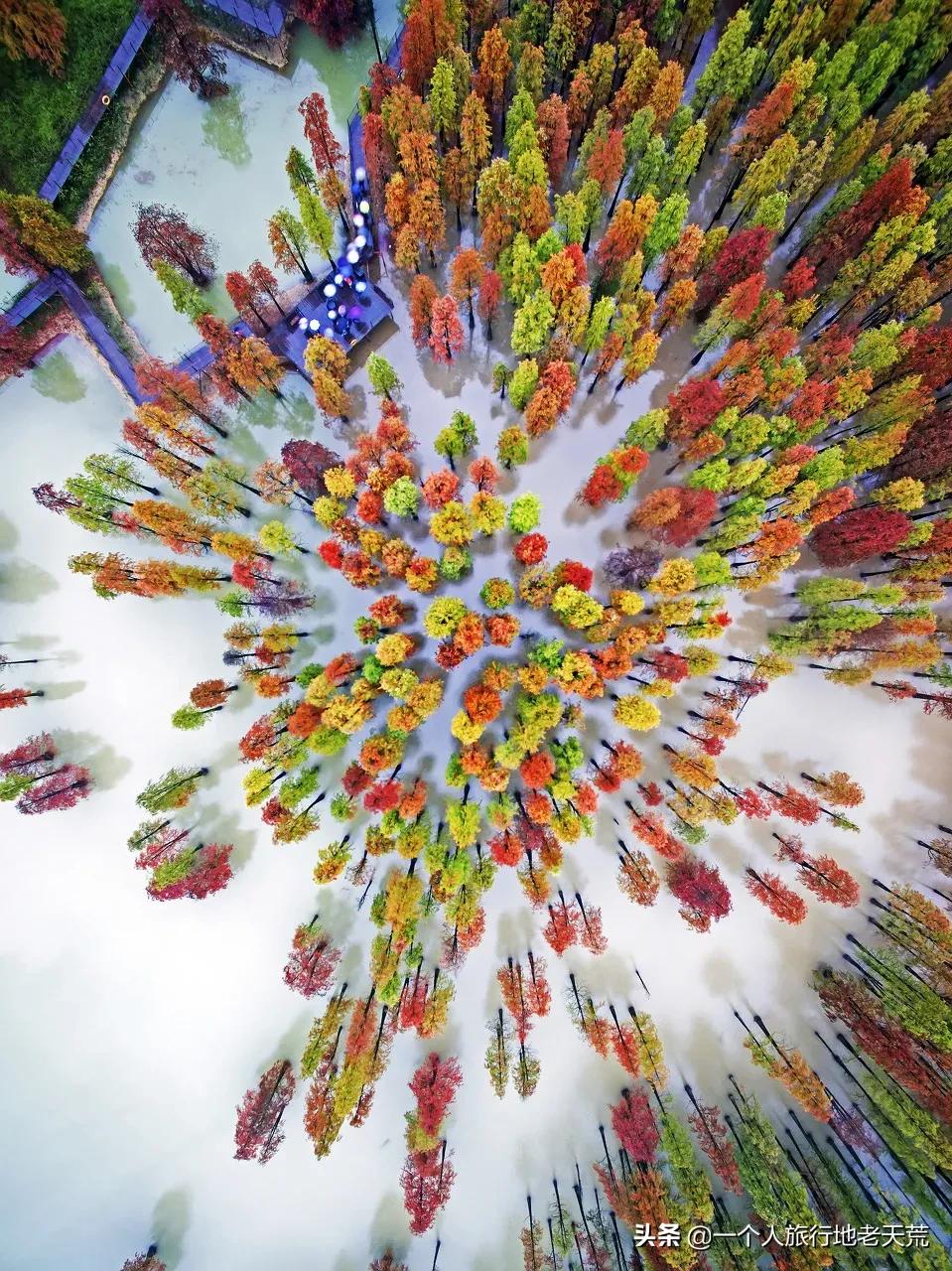 这才是12月最值得去的旅行地,11月12月去哪里旅游最美