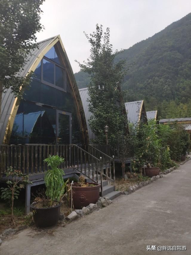 成都哪里可以避暑看萤火虫,成都周边露营看萤火虫哪里最合适