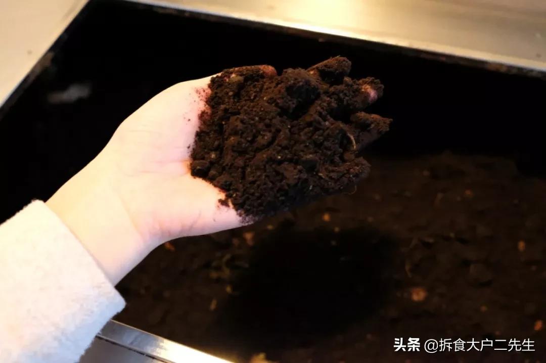 全球第一的素食餐厅,全球第一家素食馆