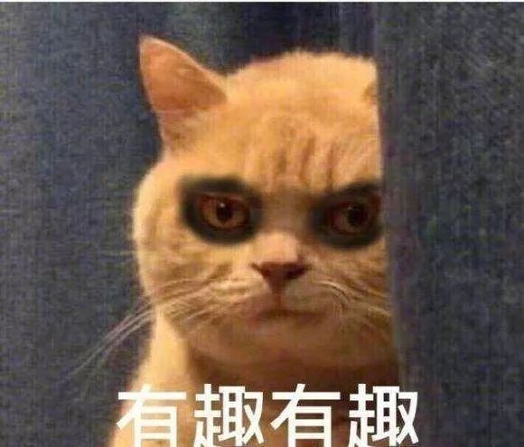 猪年适合做生意吗,猪年适合做什么行业