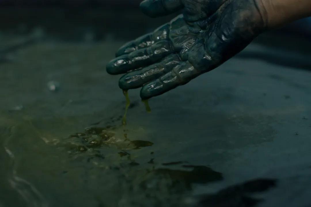 租下城郊200㎡小院,和陌生人一起生活5年:唱歌、染布、盖树屋