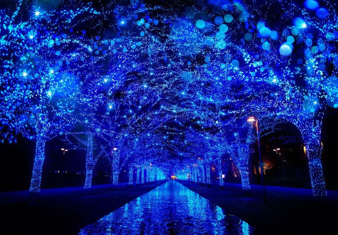 日本特色游玩,日本别样旅行