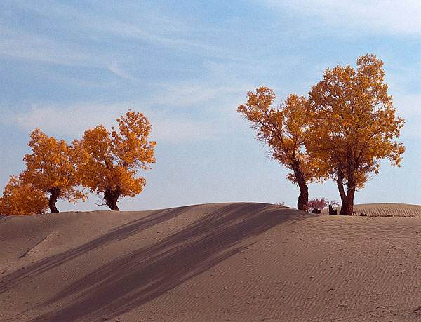 南洋迪克超级工厂行活动,南洋迪克超级工厂行第9季