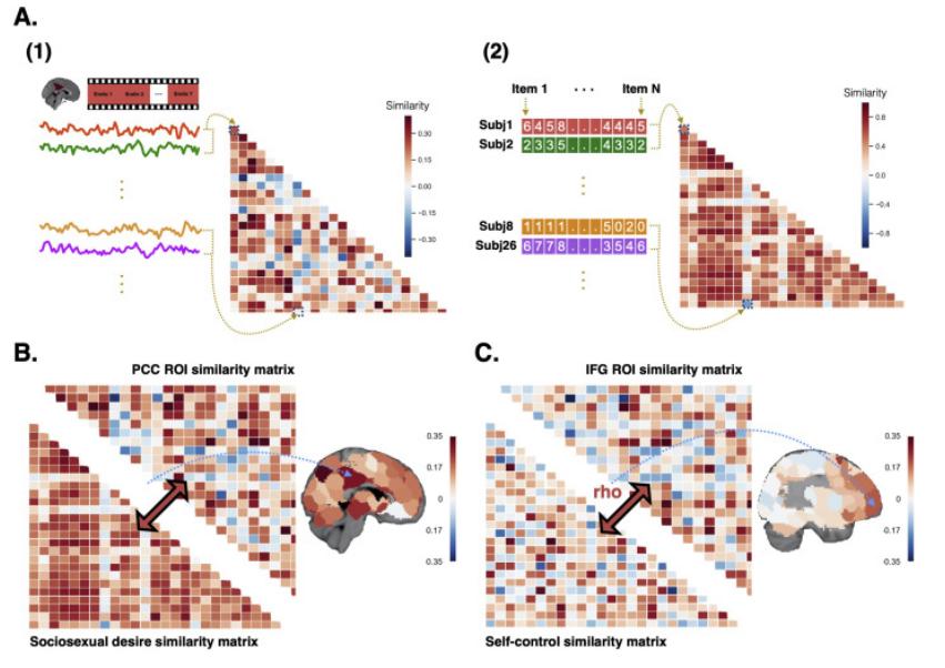neuroimage意思,mentalimages什么意思