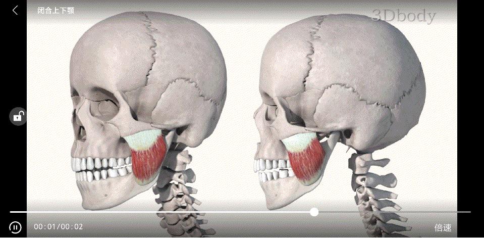 健身能减肥吗脸部,健身能瘦脸吗健身减肥会瘦脸吗
