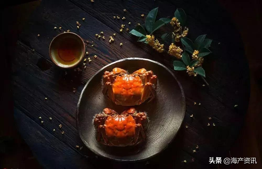 哪里大闸蟹可以媲美阳澄湖大闸蟹,阳澄湖大闸蟹和精品大闸蟹的区别