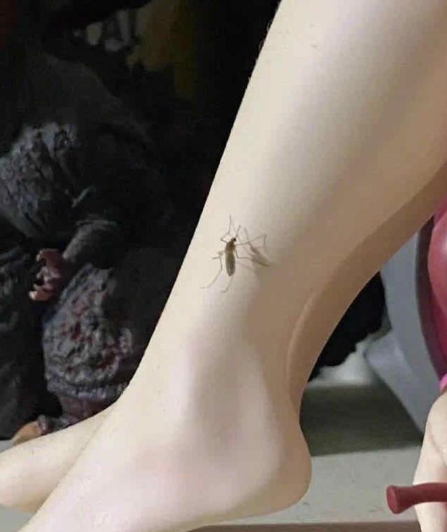 女生付钱密码都是什么密码,女生的暗号你知道吗