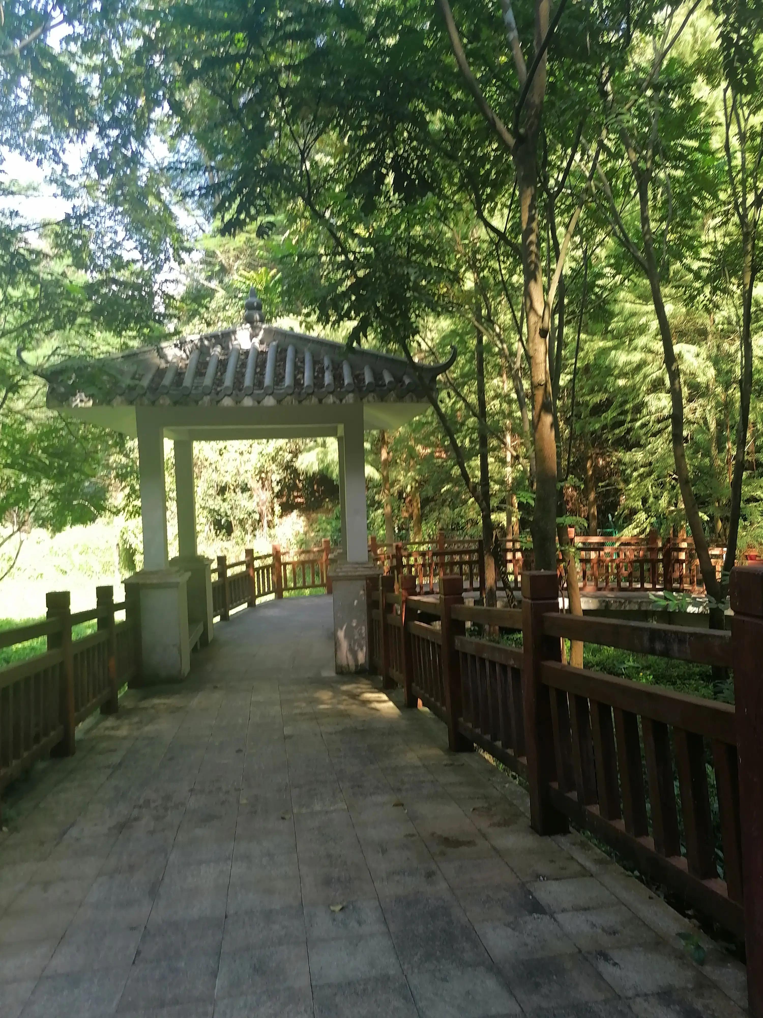 深圳龙华绿道风景区,深圳大浪绿道全景图