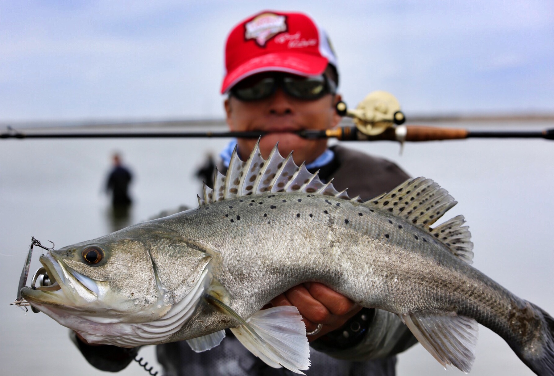 这4种海鱼没腥味,海鱼的种类与钓法