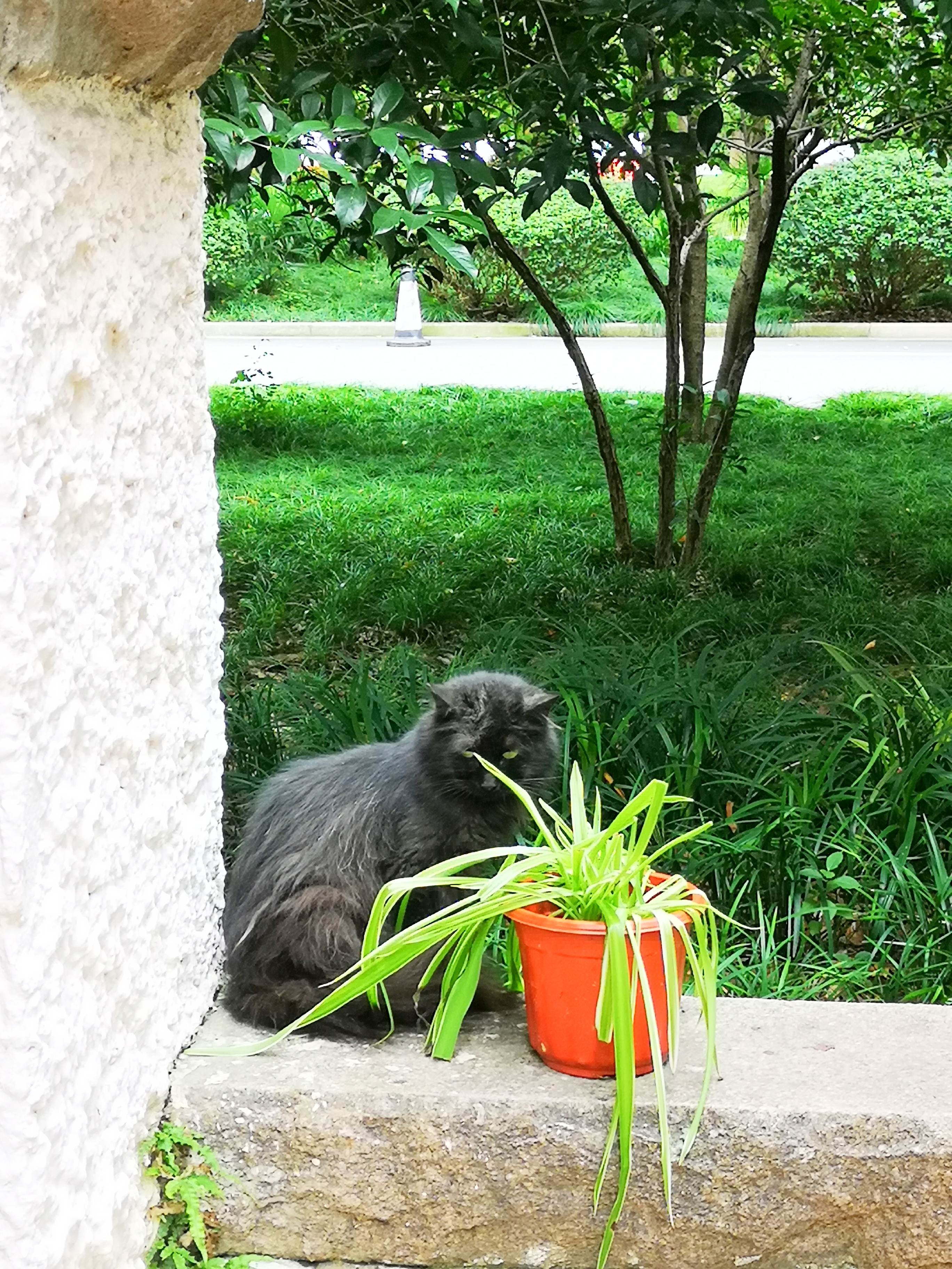 上海陆家嘴有哪些富人,上海陆家嘴低调富豪