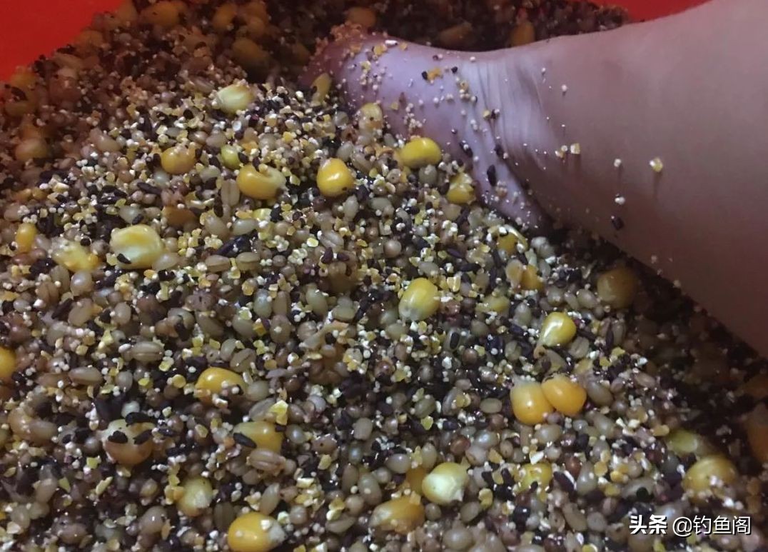 钓鲤鱼要耐心吗,钓鲤鱼要守底