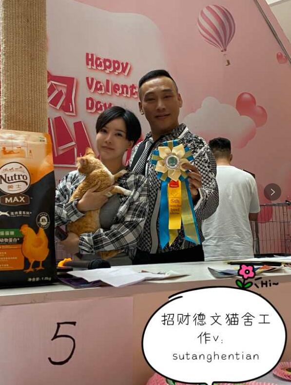 德文卷毛猫多少钱一只,德文卷毛猫排名