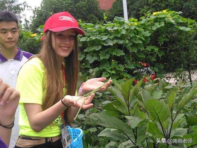 美国学生眼中的清华北大,南充一中与南充高中的区别