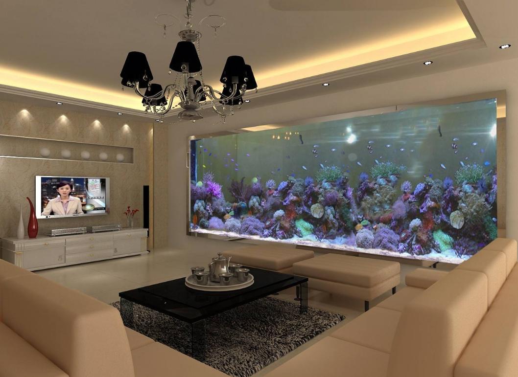 鱼缸噪音太吵怎么解决,鱼缸底滤噪音大还是上过滤噪音大