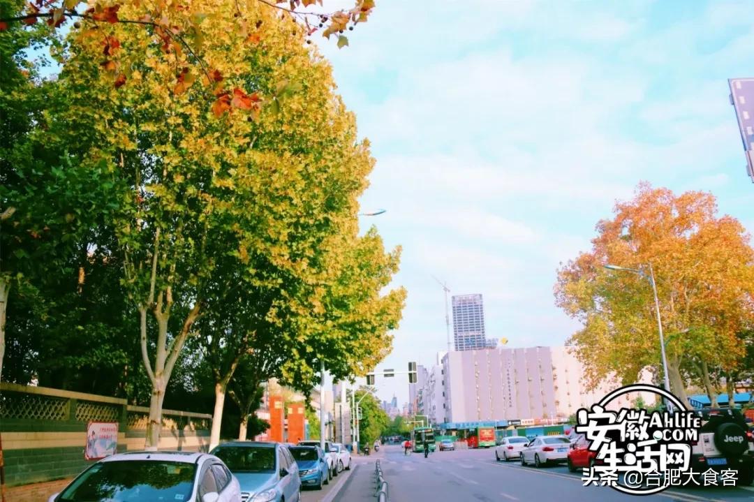 2020年，在这50个地方遇见不一样的合肥
